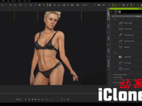 �ռ���������������-cc3.3��SkinGen&CC3����