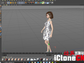 iclone DAZ C4D���MD���·�ģ�⣬�����������������·��