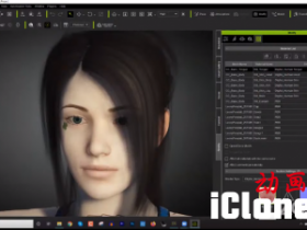CC3��Daz�ַ��ĵ����붨��