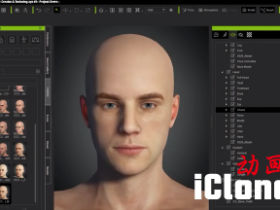 ʹ��Character Creator���жԽ�ɫƤ��������ģ����iclone����������鼰����